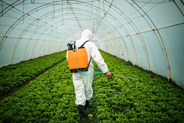 Best Local Pest Control Services  in Monticello, FL