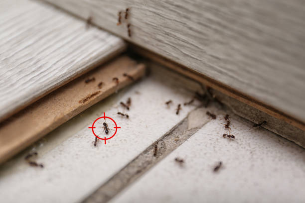 Pest Control Cost in Monticello, FL