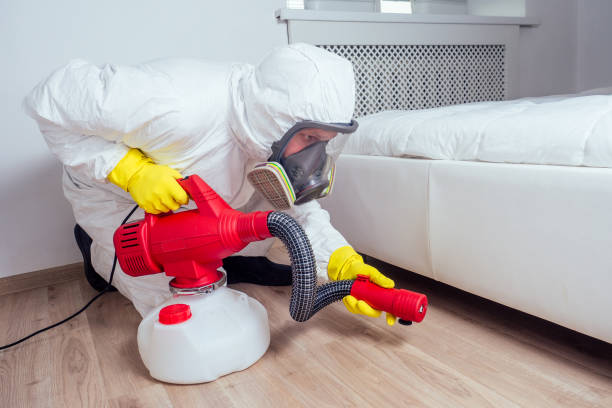 Best Rat Extermination Near Me  in Monticello, FL