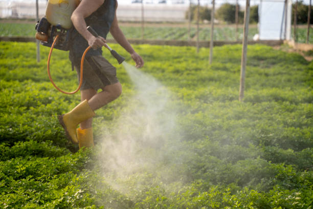 Best Exterminator Services  in Monticello, FL