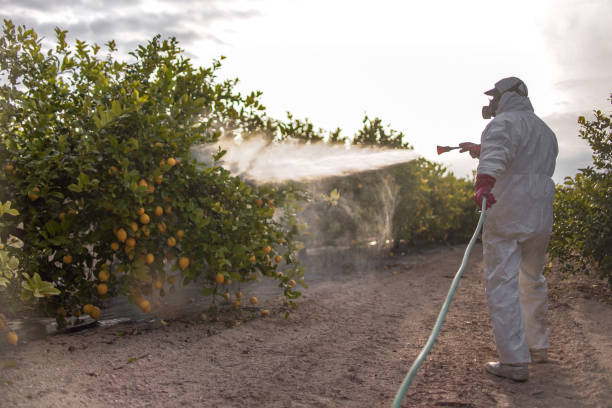 Best Flea Control Services  in Monticello, FL