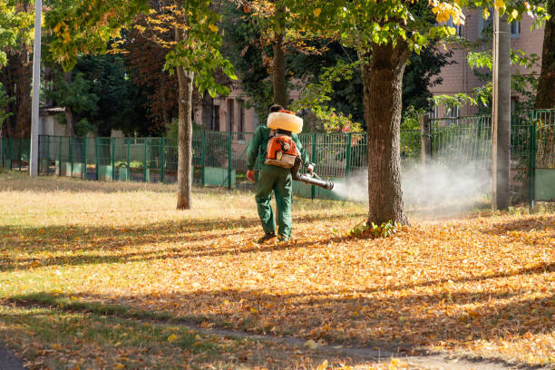 Best Cockroach Control Services  in Monticello, FL