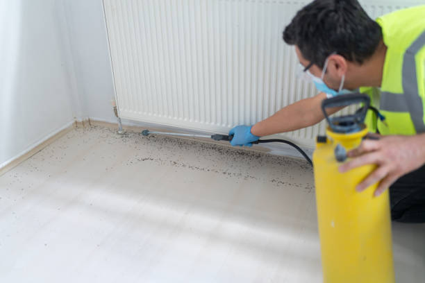 Flea Control Services in Monticello, FL