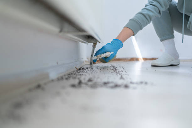 Best Termite Control Services  in Monticello, FL