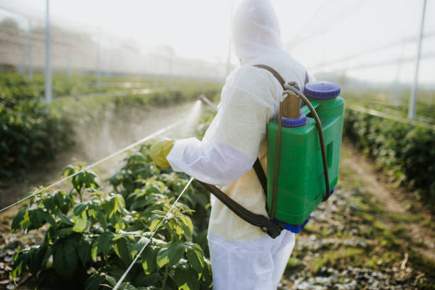 Best Exterminator Services  in Monticello, FL